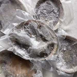 １点物　アワビ　鮑　-60度急速冷凍　5枚で 757g（傷物、訳あり品）#ケ