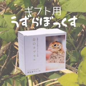 【プレゼントに！】うずらぼっくす（クール便配送）