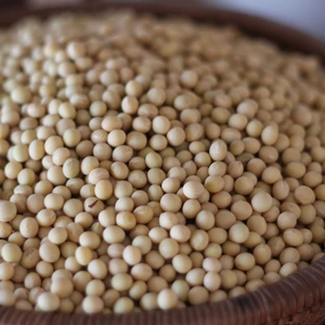 蒸すとホクホク甘みが強い自然栽培『南部白目大豆』