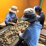 小林昌城 | 株式会社ヤマハン