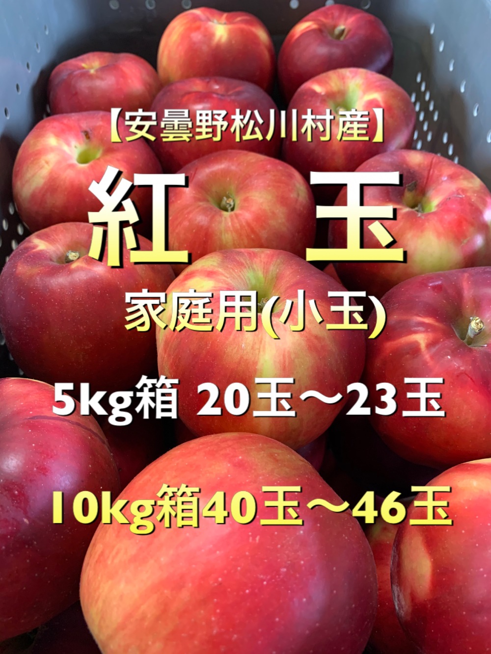 再販決定 早い者勝ち 安曇野松川村産 紅玉 家庭用 小玉 5kg 10kg 農家漁師から産地直送の通販 ポケットマルシェ