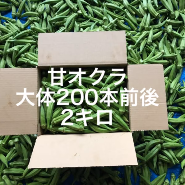 鹿児島産甘オクラ2キロ^_^