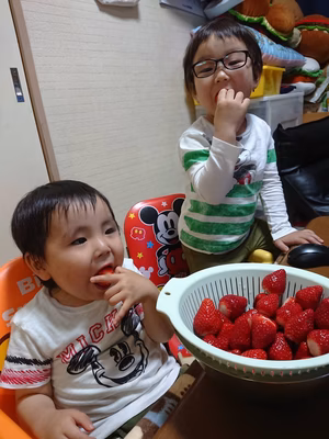 みんなの投稿の画像