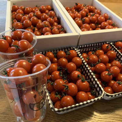 みんなの投稿の画像