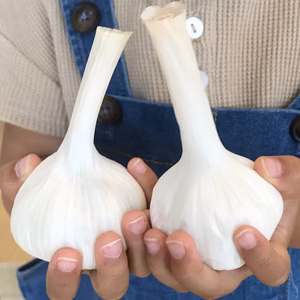 これぞ『夏にピッタリ』! ガツンとくるにんにく