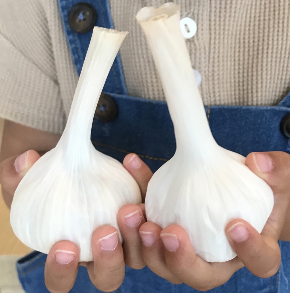 これぞ 夏にピッタリ ガツンとくるにんにく 農家漁師から産地直送の通販 ポケットマルシェ