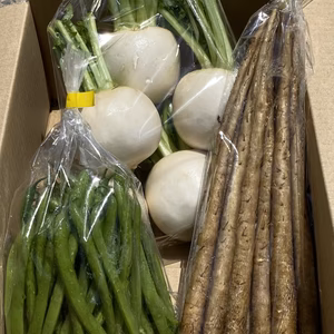 6月3日迄の限定品　ごぼう、子蕪、インゲンのセット商品
