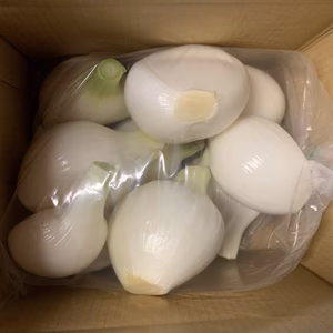 お買得品❗️白剥き約2.5k‼️訳有り新玉ねぎ❗️主婦の味方❣️生ゴミ無し
