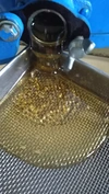 2020熱海産 みかんの蜂蜜270g 2本セット 