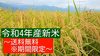 無農薬、無化学肥料の美味しい〝ゆうだい21〟令和4年産新米（2㎏/5㎏/10㎏）