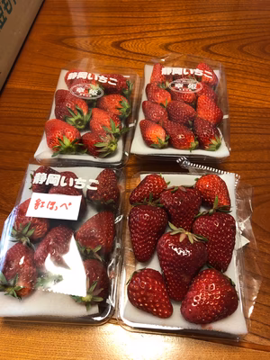 みんなの投稿の画像