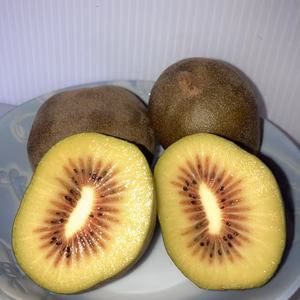 【訳あり】とろける食感！驚くほど甘い！レッドキウイ　規格外品1.5kg