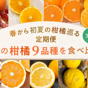 「春から初夏の柑橘巡る定期便」旬の柑橘9品種を食べ比べ