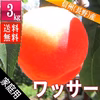 ワッサー 3kg 家庭用