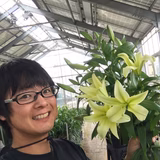 石井正晃 | ハナカイドウ