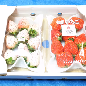 いただきいちご園の紅白いちごセット　約２６０g×２パック