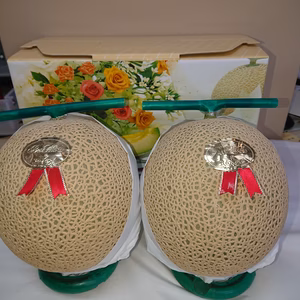 【贈答用メロン】静岡マスクメロン　等級白【芳醇な香りと甘さ♪】