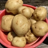 南房総鴨川産 新じゃがいも　だんしゃく2kg〜