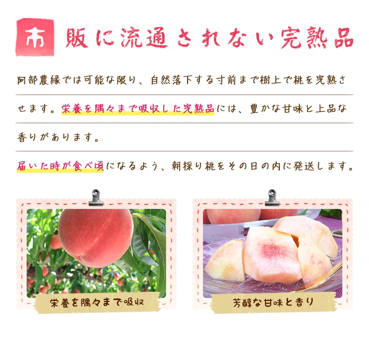 桃の予約】福島の完熟もも 品種おまかせ ギフト・贈答用【7月お届け