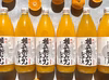 【水を一滴も使わない】みかん丸ごと絞った愛媛みかんジュース