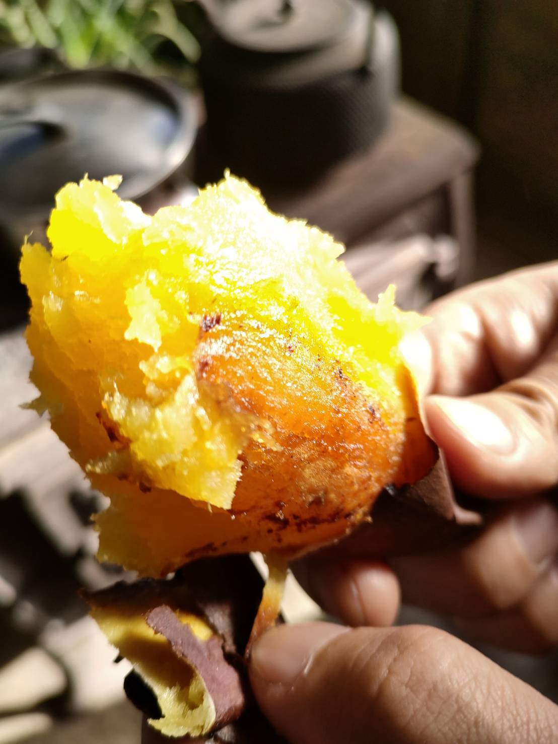 販売開始】熟成シルクスイート約20kg｜さつまいもの商品詳細｜ポケット