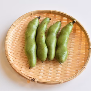 和らぎ農法　そら豆（1袋）