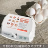 【福袋2024】1月1～3日発送❗新年初産❗️元旦白タマゴ36個