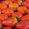 甘くてたまらん！！イチゴセット　ゆりかーごパック！