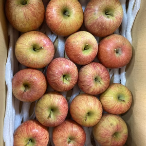 家庭用訳ありサンふじ3キロバラ詰　農薬半減栽培　