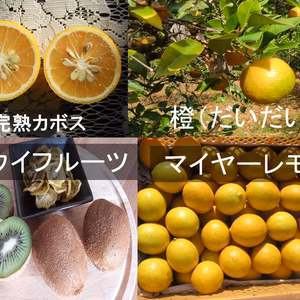 キウイフルーツと香酸柑橘詰め合わせ　全て農薬不使用