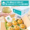 【限定！訳あり！お買い得品！】口の中に果汁がジュワ～♪とこぼれる豊水梨