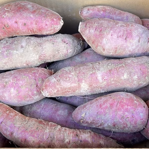 《訳あり品》掘りたてでほんのり甘い紅はるか