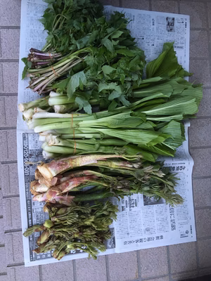 みんなの投稿の画像