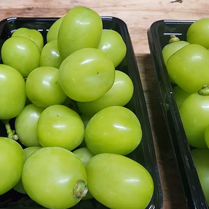 大粒4パック1.6Kg【朝採り発送】 自家農園の シャインマスカット