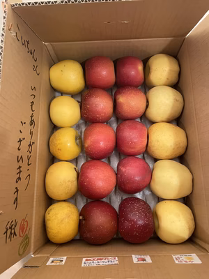 みんなの投稿の画像