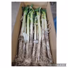 [配送地域限定]　採れたままの長ねぎ☆彡