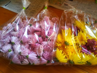 みんなの投稿の画像