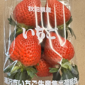 【乳酸菌で育てたいちご】いちご 父の日 イチゴ ギフト ストロベリー