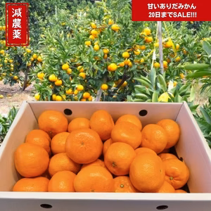 月末まで割引 甘い有田みかん【和歌山のみかん】由良早生 蜜柑 ミカン 送料無料