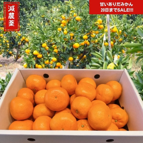 月末まで割引 甘い有田みかん【和歌山のみかん】由良早生  蜜柑 ミカン 送料無料