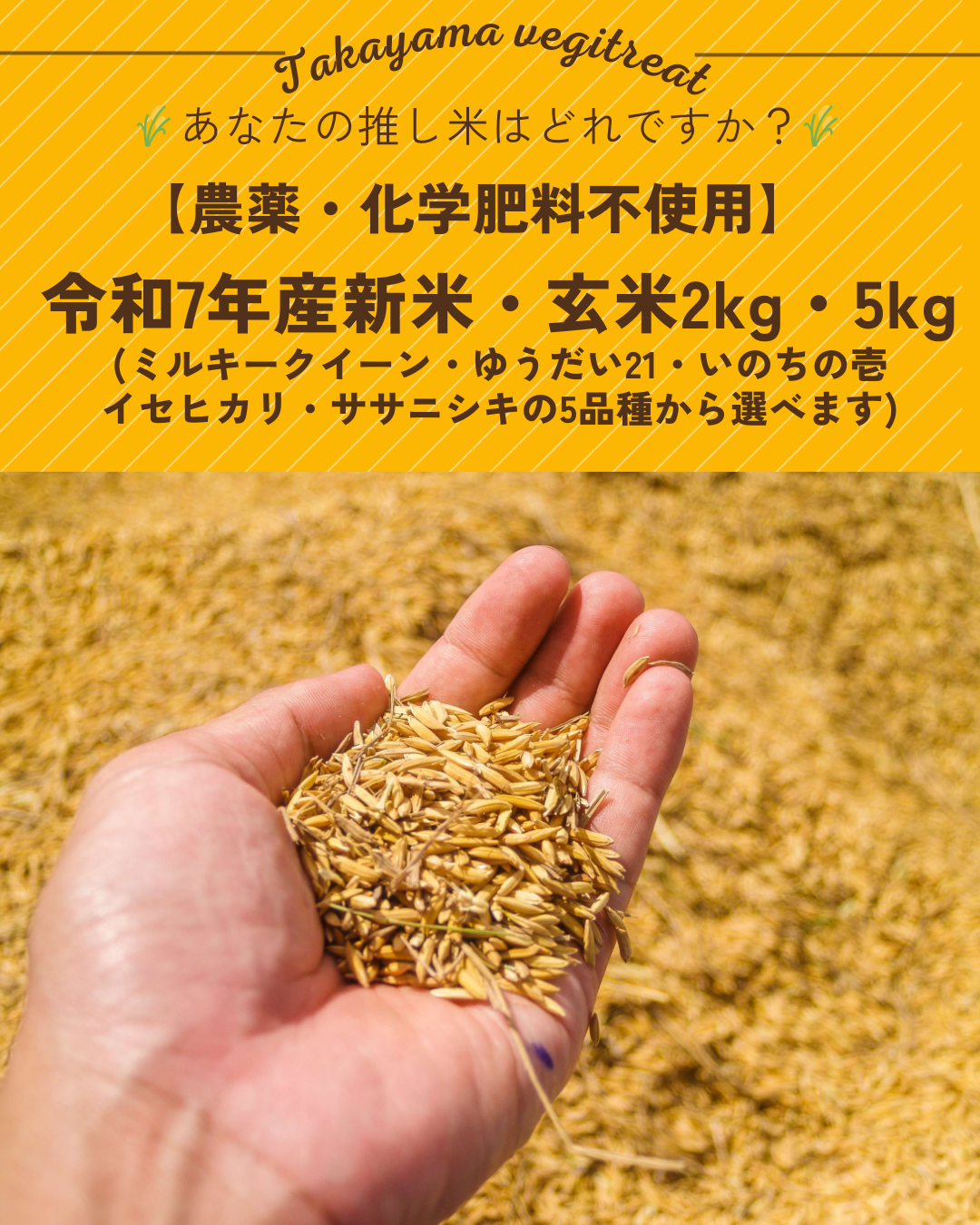 品種を選べる！令和7年産新米・玄米2kg・5kg【農薬・化学肥料不使用 
