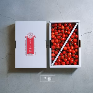 山形産　さくらんぼ　佐藤錦　贈り物　バラ詰め　1㎏　2箱