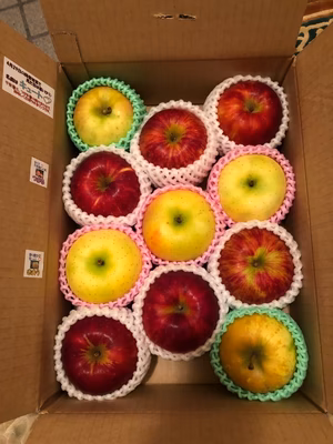 みんなの投稿の画像