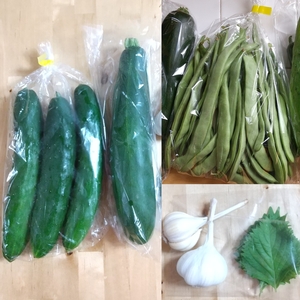 自然農法☆野菜5種セット(常温便)