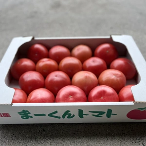 美味さの秘訣は【土耕栽培】にあり！　まーくんのトマト　大玉トマト