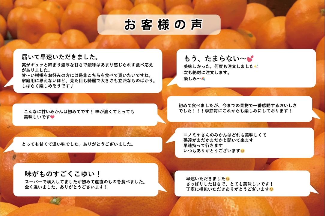 超人気❗️】まどんな（ご家庭用）※12月発送開始｜みかんの商品詳細