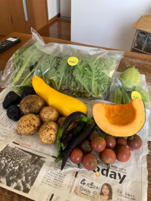 みんなの投稿の画像