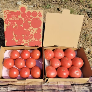 秋の大玉トマト『麗月』9玉入りと、自家用トマトのセット