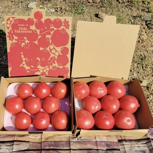 秋の大玉トマト『麗月』9玉入りと、自家用トマトのセット