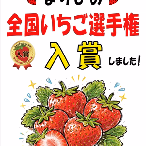 和歌山オリジナルいちご　【まりひめ】　２パック・4パック